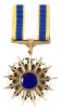 Air Force Distinguished Service Medal