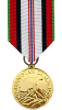 Afghan Campaign Medal 