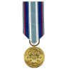 Air and Space Campaign Medal 