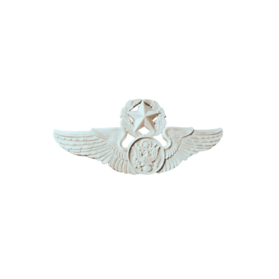 Chief Aircrew Member