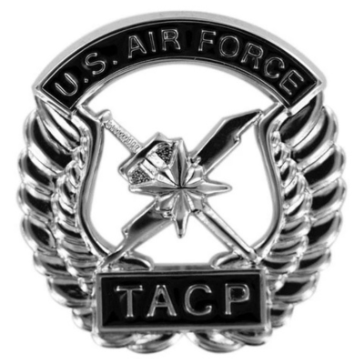 Air Force Beret Badge Tactical Air Control Party (TACP)