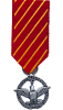 Air Force Combat Action Medal