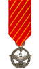 Air Force Combat Action Medal