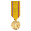 American Defense Service Medal