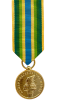 Armed Forces Service Medal