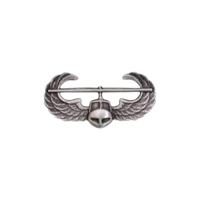 Air Asssault Badge