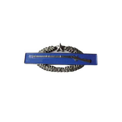 Combat Infantry - 2nd Award