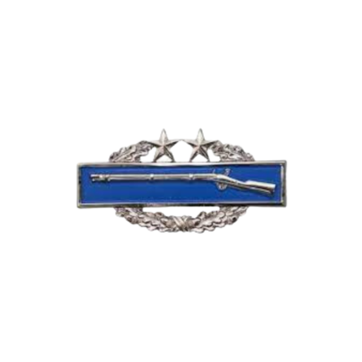 Combat Infantry - 3rd Award