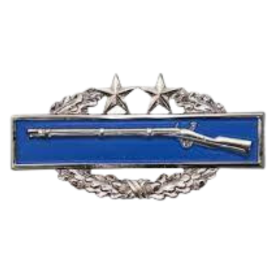 Combat Infantry - 3rd Award