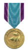 Coast Guard Distinguished Service Medal