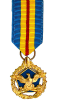 Defense Distinguished Service Medal
