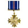 Distinguished Flying Cross