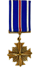 Distinguished Flying Cross