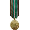 Eur-Afr-Middle Eastern Campaign Medal