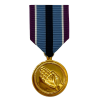 Humanitarian Service Medal