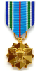 Joint Service Achievement Medal