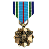 Joint Service Achievement Medal