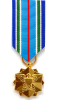 Joint Service Achievement Medal