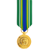 Korean Defense Service Medal