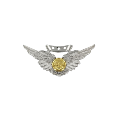 COMBAT AIRCREW