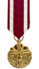 Meritorious Service Medal