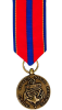 Naval Reserve Meritorious Service