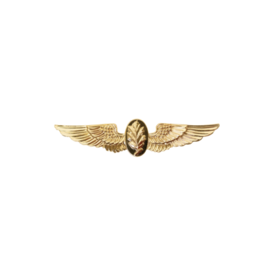 AVIATION PHYSIOLOGIST BADGE