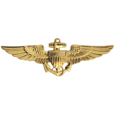 AVIATOR BADGE