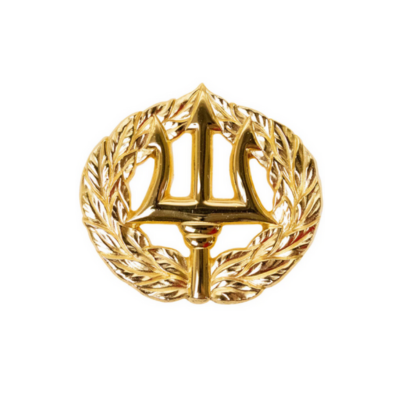 COMMAND ASHORE