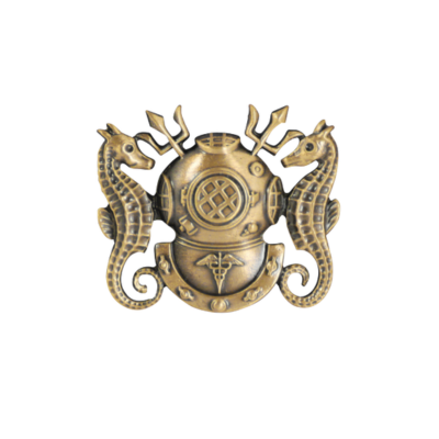 DIVING MEDICAL OFFICER