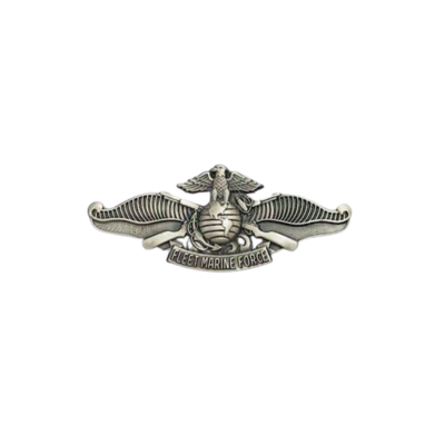 FLEET MARINE FORCE
