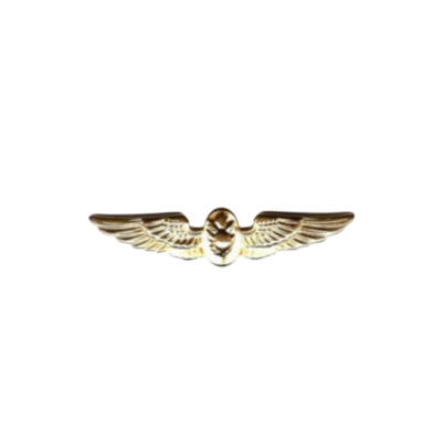 FLIGHT NURSE