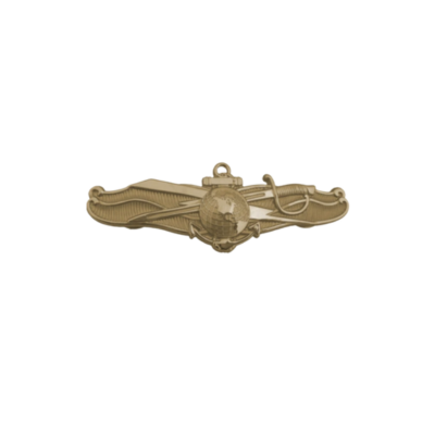 INFORMATION DOMINANCE WARFARE OFFICER