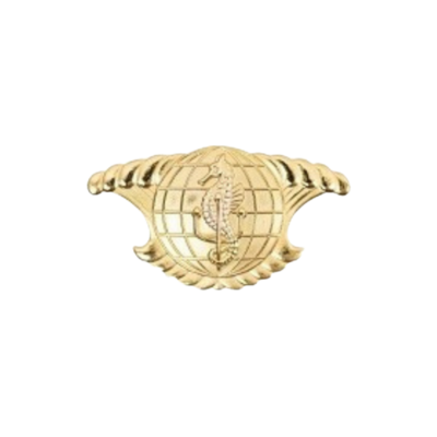 INTEGRATED UNDERSEAS' SURVEILLANCE SYSTEM OFFICER