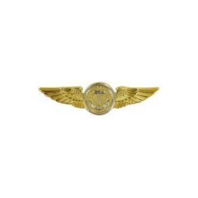 AVIATION OBSERVER FLIGHT BADGE