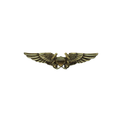 FLIGHT OFFICER BADGE