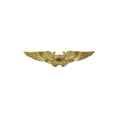FLIGHT OFFICER BADGE