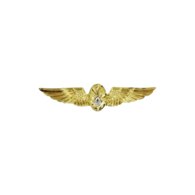 FLIGHT SURGEON