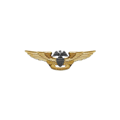 PROFESSIONAL AVIATION MAINTENANCE OFFICER