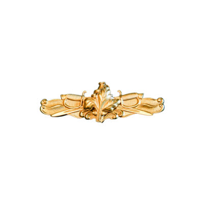 AVIATION SUPPLY OFFICER