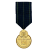 Navy Expert Rifle Medal
