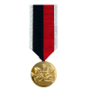 Navy Occupation Service Medal