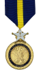 Navy/Marine Corps Distinguished Service Medal