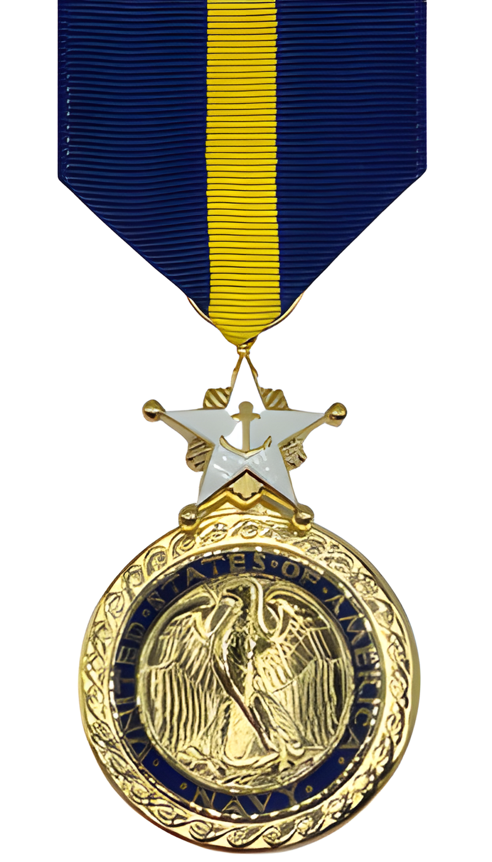 Navy/Marine Distinguished Service Medal