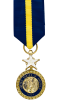 Navy/Marine Corps Distinguished Service Medal