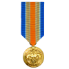 Operation Inherent Resolve Campaign Medal