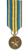 Outstanding Volunteer Service Medal