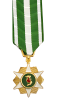 Republic of Vietnam Campaign Medal