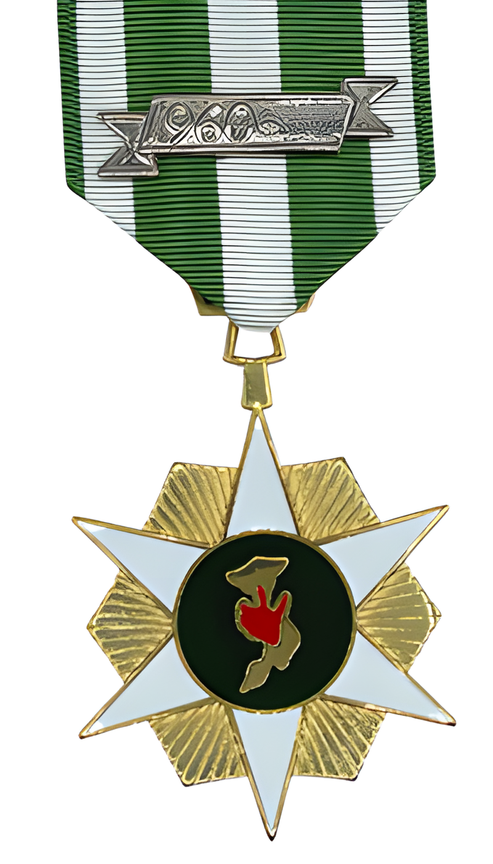 Republic of Vietnam Campaign Medal