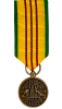 Vietnam Service Medal